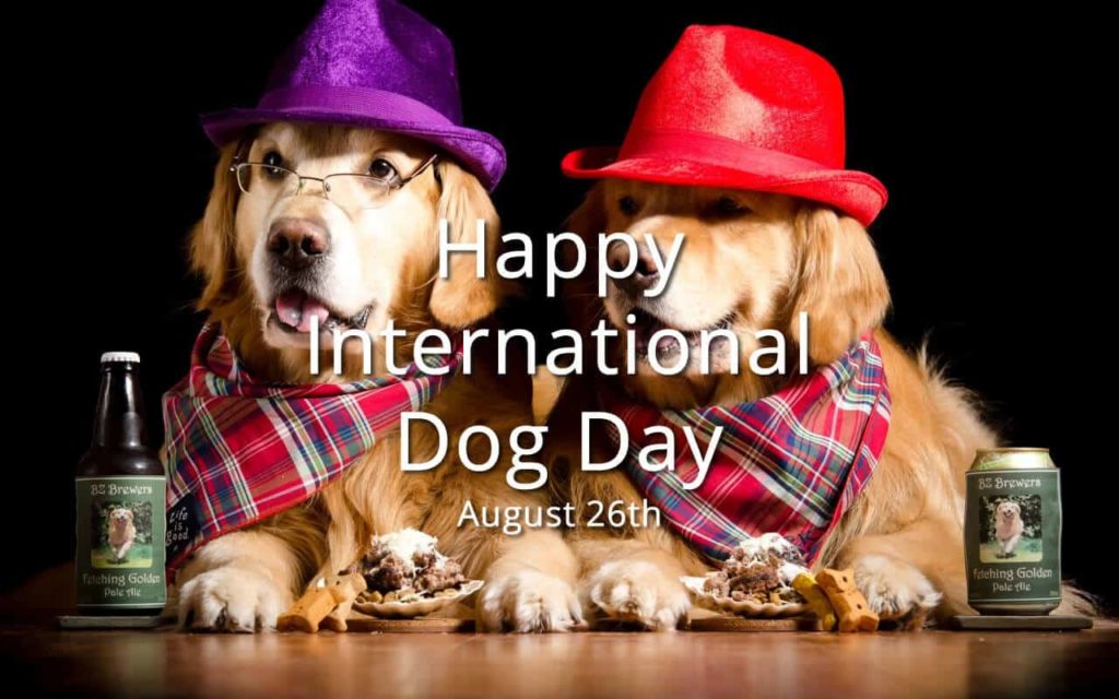 International dog day