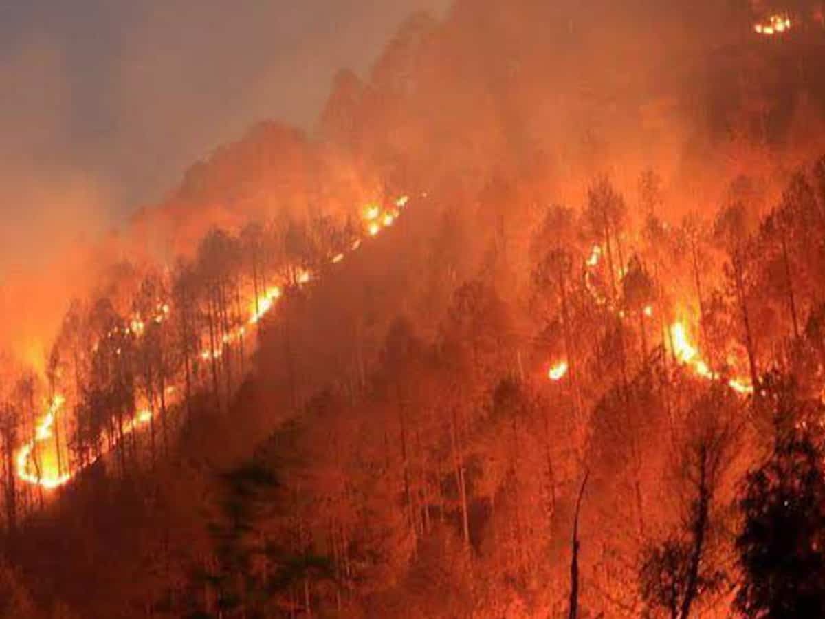 Uttarakhand forest fires