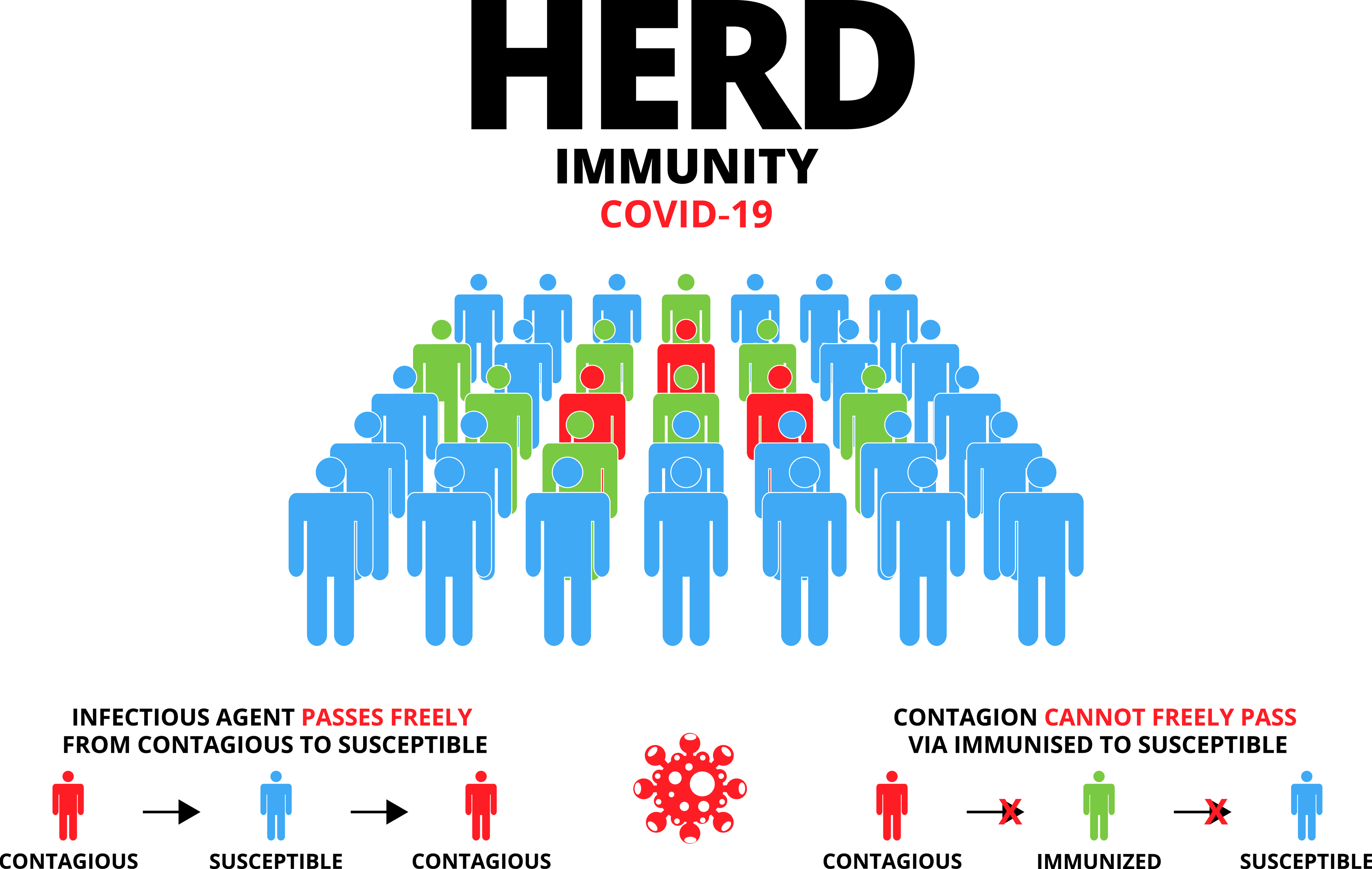 Herd Immunity in India