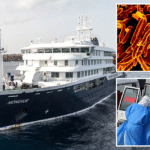 Current image: US Health Officials Call Hantavirus Cruise Ship Outbreak "Extremely Low" Risk to Public