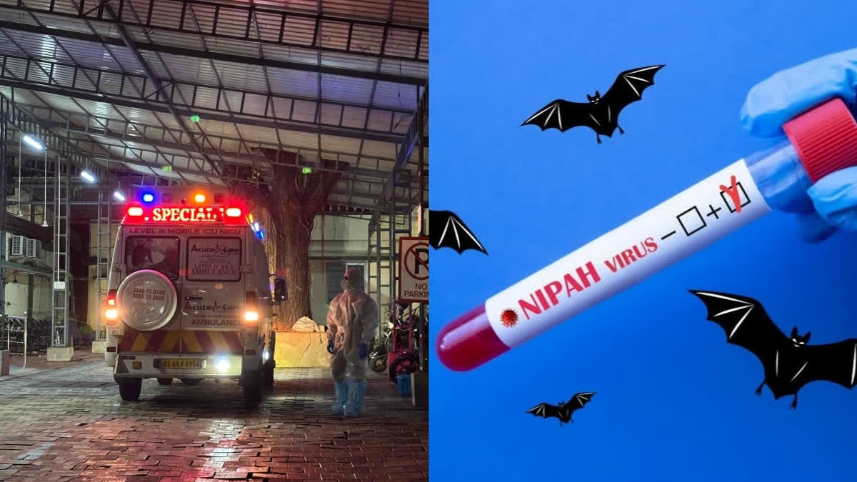Nipah virus alert Kerala Kozhikode